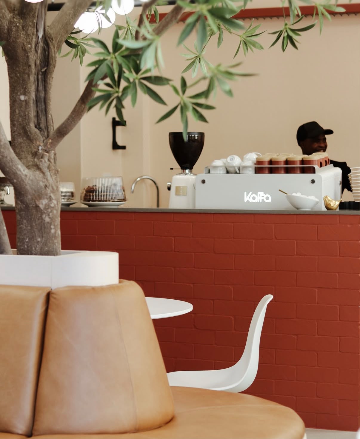 The FIVE bar — espresso machine, cups, and olive tree